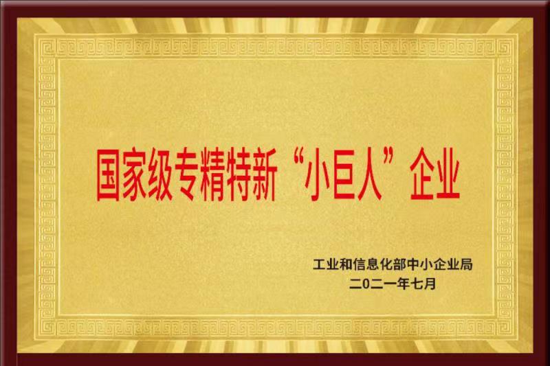 國家級(jí)專精特新重點(diǎn)“小巨人”